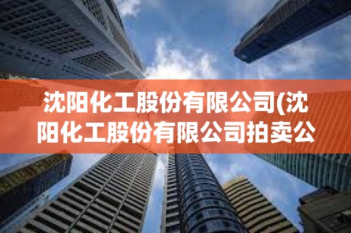 沈阳化工股份有限公司(沈阳化工股份有限公司拍卖公告)