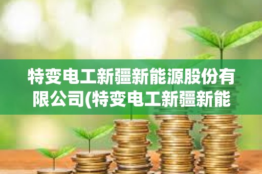 特变电工新疆新能源股份有限公司(特变电工新疆新能源股份有限公司怎么样)