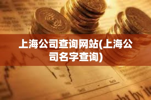 上海公司查询网站(上海公司名字查询)