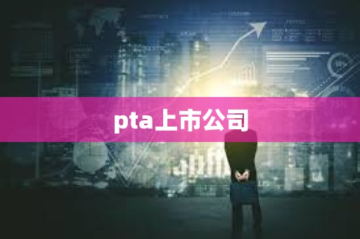 pta上市公司