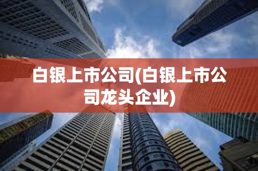 白银上市公司(白银上市公司龙头企业)