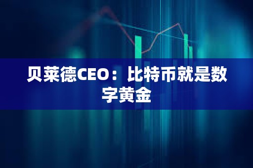 贝莱德CEO：比特币就是数字黄金