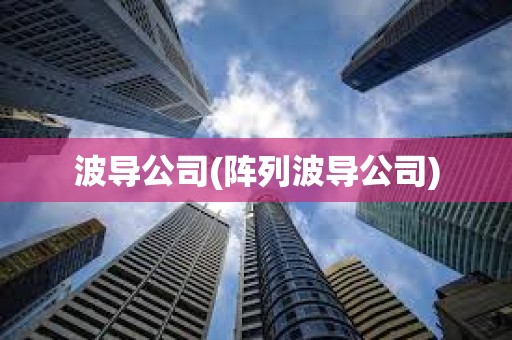 波导公司(阵列波导公司)