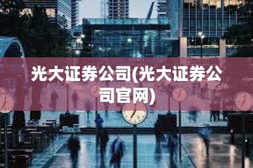 光大证券公司(光大证券公司官网)