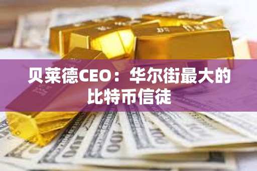 贝莱德CEO：华尔街最大的比特币信徒