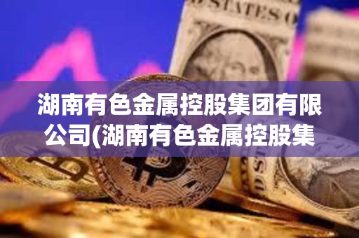 湖南有色金属控股集团有限公司(湖南有色金属控股集团有限公司董事长)