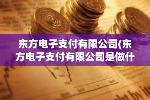 东方电子支付有限公司(东方电子支付有限公司是做什么的)