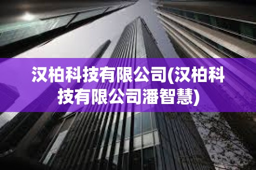 汉柏科技有限公司(汉柏科技有限公司潘智慧)