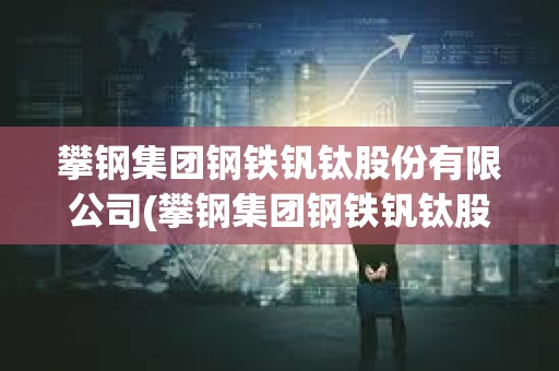 攀钢集团钢铁钒钛股份有限公司(攀钢集团钢铁钒钛股份有限公司官网)