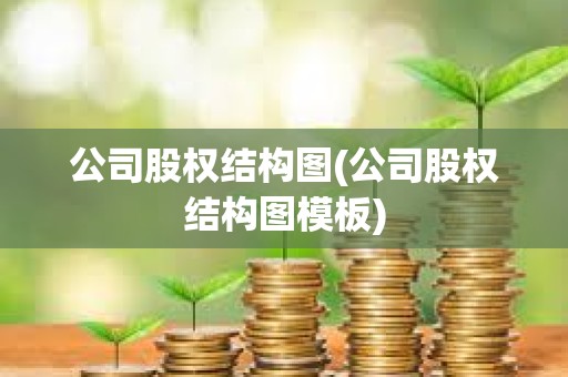 公司股权结构图(公司股权结构图模板)