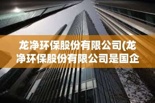 龙净环保股份有限公司(龙净环保股份有限公司是国企吗)