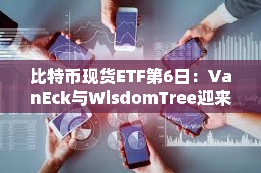 比特币现货ETF第6日：VanEck与WisdomTree迎来获批后流入量最好的一天