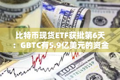 比特币现货ETF获批第6天：GBTC有5.9亿美元的资金流出