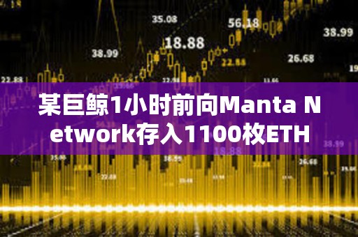 某巨鲸1小时前向Manta Network存入1100枚ETH