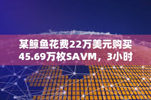 某鲸鱼花费22万美元购买45.69万枚SAVM，3小时内获利100万美元