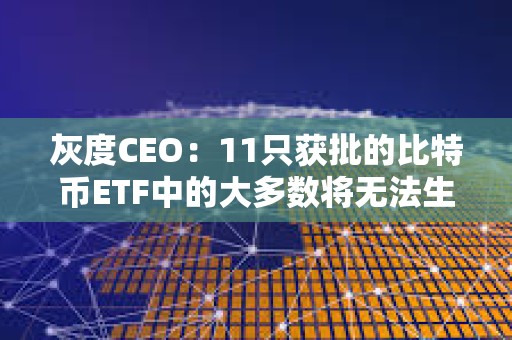 灰度CEO：11只获批的比特币ETF中的大多数将无法生存