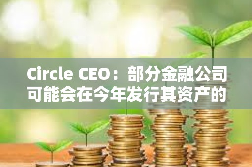 Circle CEO：部分金融公司可能会在今年发行其资产的代币化版本