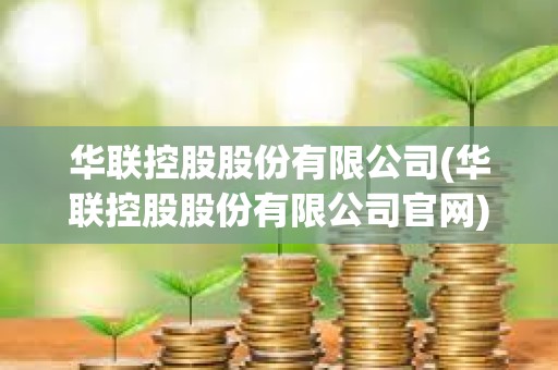 华联控股股份有限公司(华联控股股份有限公司官网)