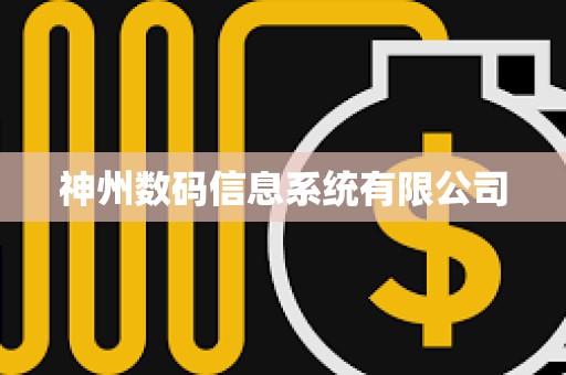 神州数码信息系统有限公司