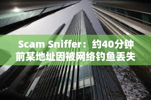 Scam Sniffer：约40分钟前某地址因被网络钓鱼丢失价值420万美元aEthWETH和aEthUNI