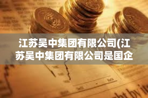 江苏吴中集团有限公司(江苏吴中集团有限公司是国企吗)