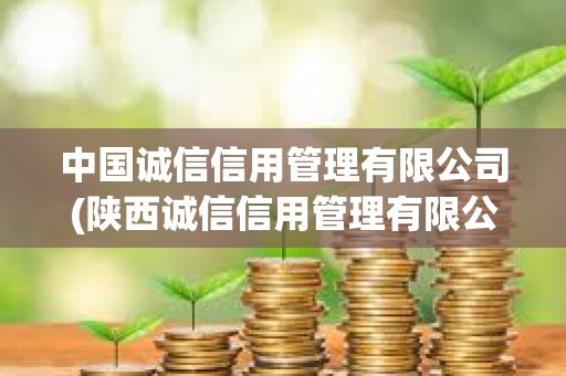 中国诚信信用管理有限公司(陕西诚信信用管理有限公司)