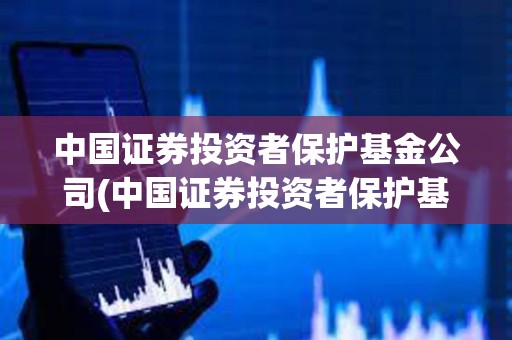 中国证券投资者保护基金公司(中国证券投资者保护基金公司董事长)