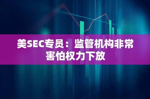 美SEC专员：监管机构非常害怕权力下放