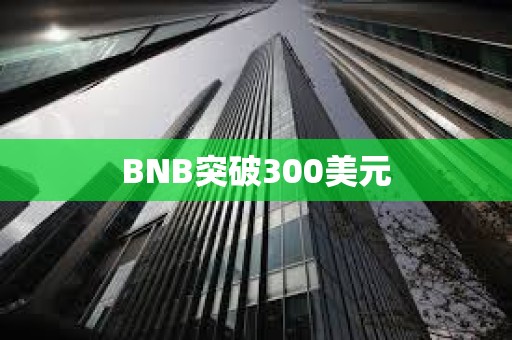 BNB突破300美元