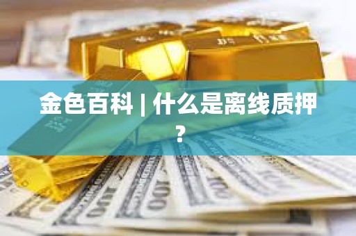 金色百科 | 什么是离线质押？