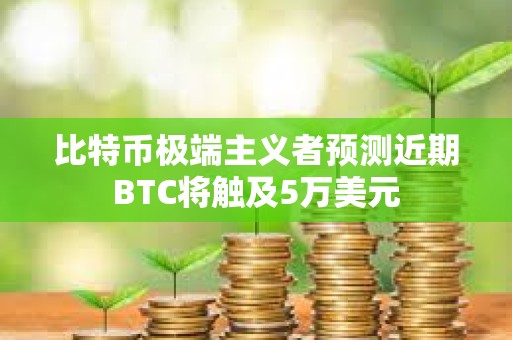 比特币极端主义者预测近期BTC将触及5万美元