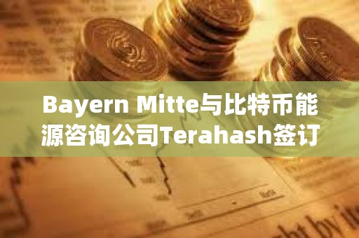 Bayern Mitte与比特币能源咨询公司Terahash签订合作协议