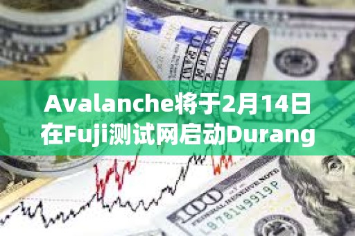 Avalanche将于2月14日在Fuji测试网启动Durango升级