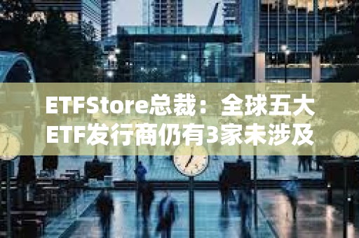 ETFStore总裁：全球五大ETF发行商仍有3家未涉及比特币，道富出现“重大战略误判”