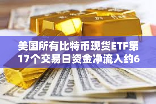 美国所有比特币现货ETF第17个交易日资金净流入约6800万美元