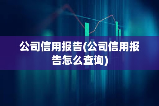 公司信用报告(公司信用报告怎么查询)