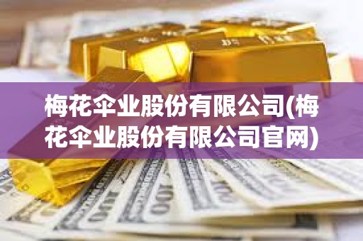 梅花伞业股份有限公司(梅花伞业股份有限公司官网)