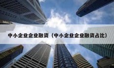 中小企业企业融资（中小企业企业融资占比）