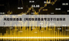 风险投资基金（风险投资基金专注于行业投资）