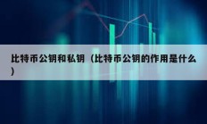 比特币公钥和私钥（比特币公钥的作用是什么）