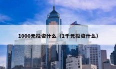 1000元投资什么（1千元投资什么）