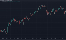 特朗普在就职前夕推出个人memecoin 这一行为引发众怒？