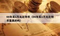 08年买1万元比特币（08年买1万元比特币是真的吗）