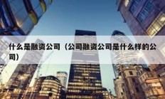 什么是融资公司（公司融资公司是什么样的公司）