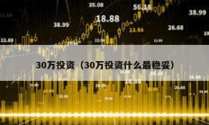 30万投资（30万投资什么最稳妥）