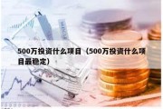 500万投资什么项目（500万投资什么项目最稳定）