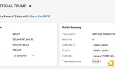 TRUMP币会带来哪些巨大的负面影响