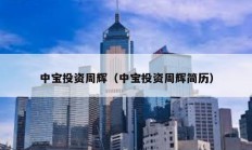 中宝投资周辉（中宝投资周辉简历）