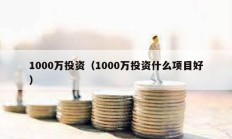 1000万投资（1000万投资什么项目好）