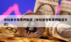 非标准仓单质押融资（非标准仓单质押融资方式）